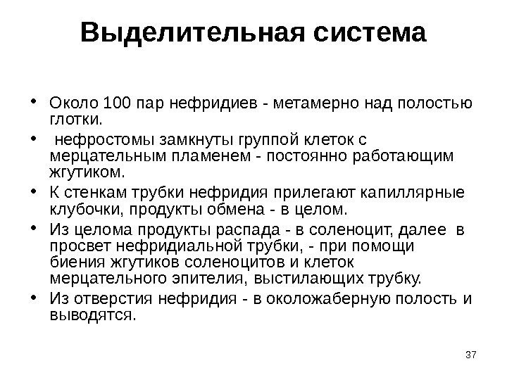 37 Выделительнаясистема • Около 100 пар нефридиев - метамерно над полостью глотки.  •