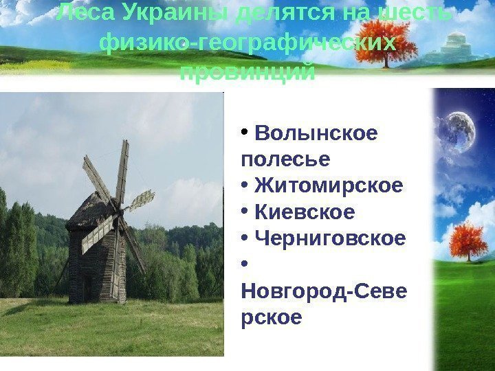   Леса Украины делятся на шесть физико-географических провинций •  Волынское  полесье