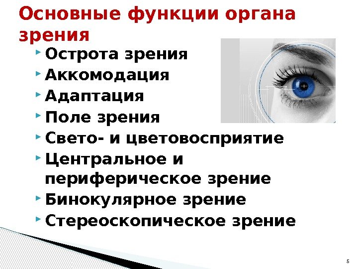  Острота зрения Аккомодация Адаптация Поле зрения Свето- и цветовосприятие Центральное и периферическое зрение