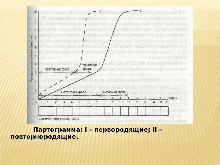       Партограмма:  I I – первородящие;  IIII