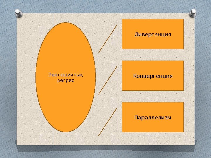 Дивергенция Параллелизм. Конвергенция. Эволюциялық регрес  