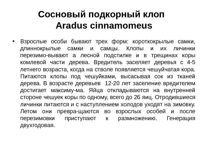 Сосновый подкорный клоп  Aradus cinnamomeus • Взрослые особи бывают трех форм:  короткокрылые