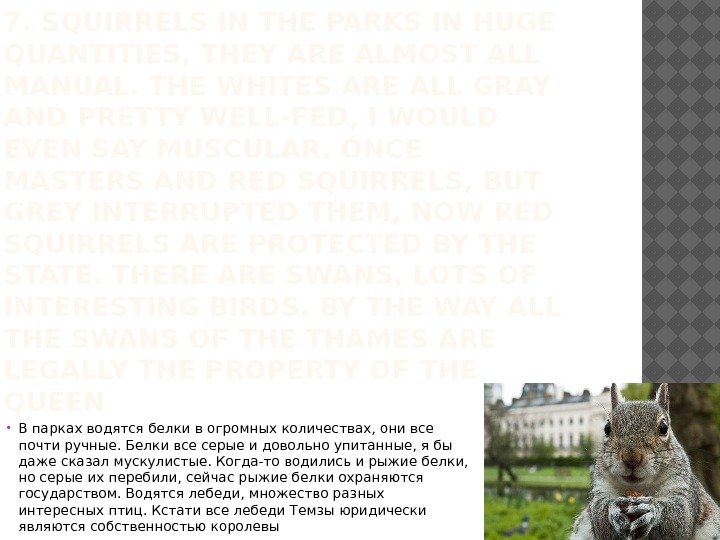 7. SQUIRRELS IN THE PARKS IN HUGE QUANTITIES, THEY ARE ALMOST ALL MANUAL. THE