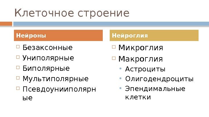 Клеточное строение Безаксонные Униполярные Биполярные Мультиполярные Псевдоунииполярн ые Микроглия Макроглия Астроциты Олигодендроциты Эпендимальные клетки.