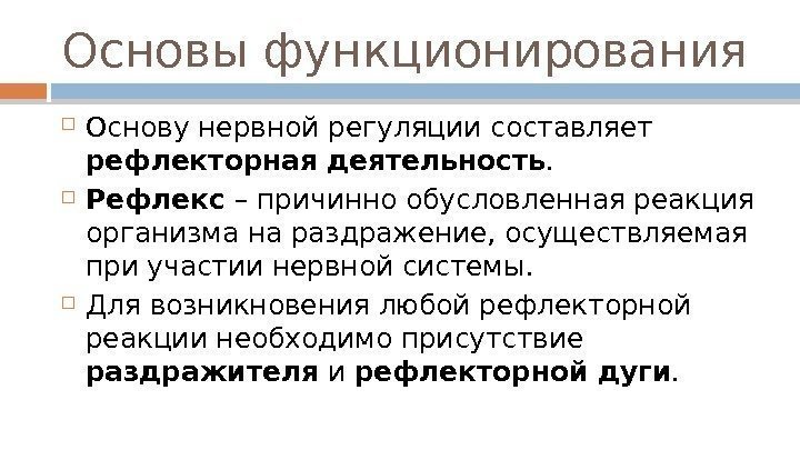 Основы функционирования Основу нервной регуляции составляет рефлекторная деятельность.  Рефлекс – причинно обусловленная реакция