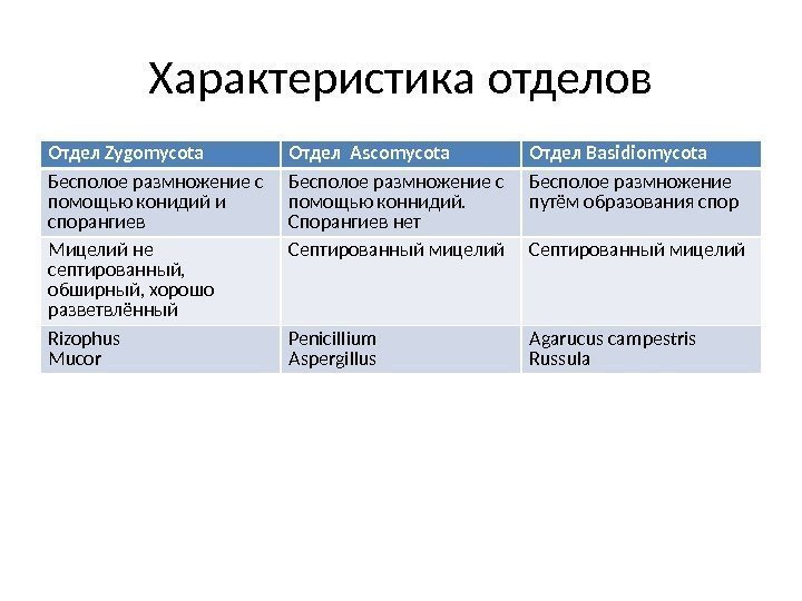 Характеристика отделов Отдел Zygomycota Отдел Ascomycota Отдел Basidiomycota Бесполое размножение с помощью конидий и