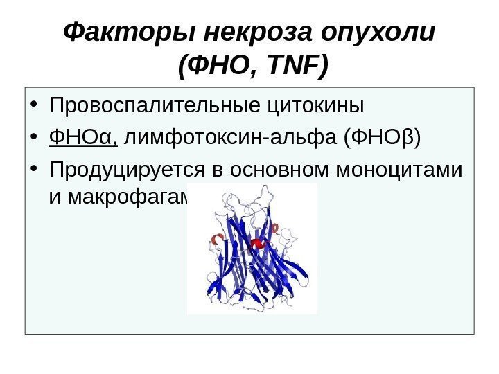 Факторы некроза опухоли (ФНО,  TNF) • Провоспалительные цитокины • ФНО α , 