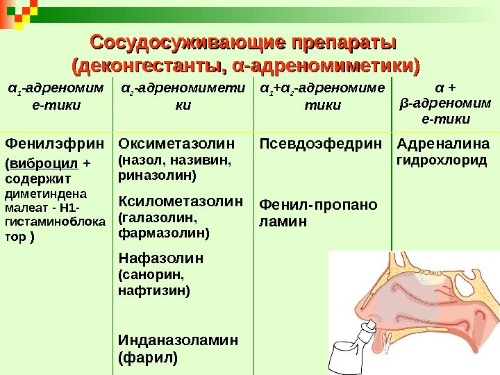 Сосудосуживающие препараты (деконгестанты,  αα -адреномиметики) α 1 -адреномим е-тики α 2 -адреномимети ки