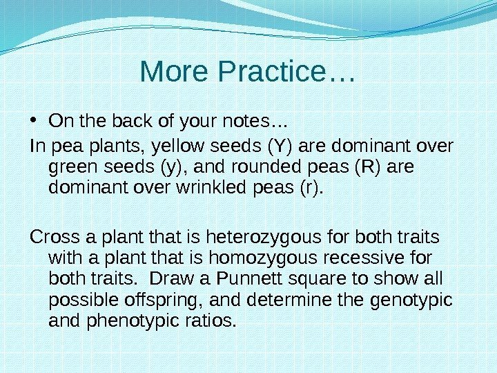 More Practice… • On the back of your notes… In pea plants, yellow seeds