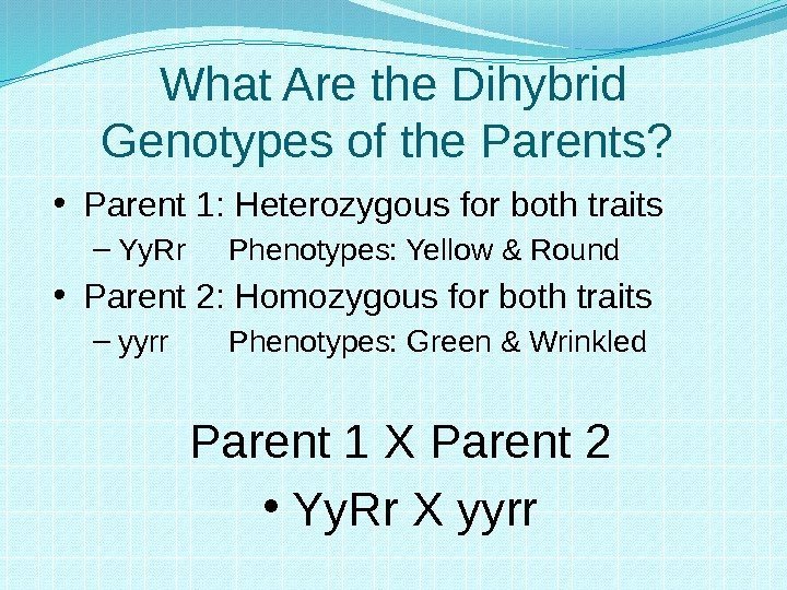 What Are the Dihybrid Genotypes of the Parents?  • Parent 1: Heterozygous for
