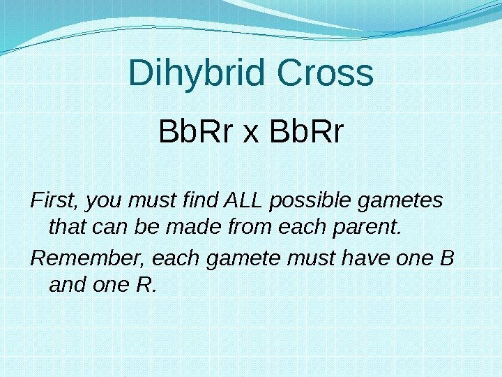 Dihybrid Cross Bb. Rr x Bb. Rr First, you must find ALL possible gametes