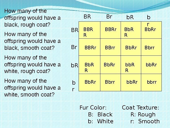 Heredity and Genetics Part Two Dihybrid Crosses