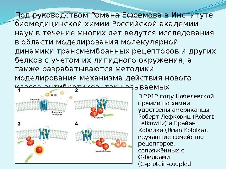 Под руководством Романа Ефремова в Институте биомедицинской химии Российской академии наук в течение многих