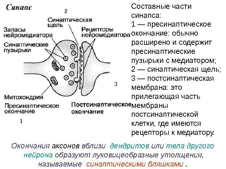 Обои аксон кострома