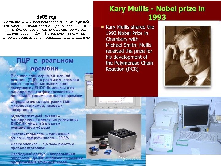 1985 год Создание К. Б. Мюллисом революционизирующей технологии — полимеразной цепной реакции, ПЦР —
