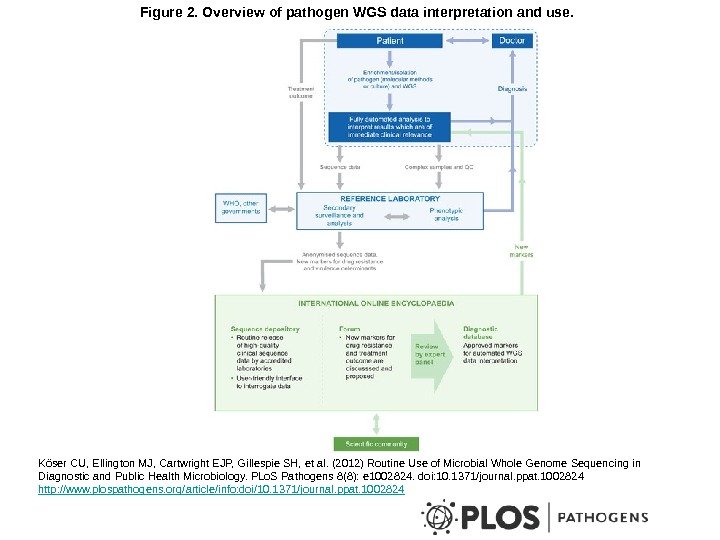 Figure 2. Overview of pathogen WGS data interpretation and use. Köser CU, Ellington MJ,