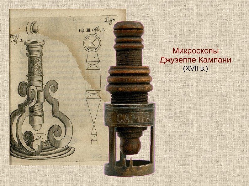   Микроскопы Джузеппе Кампани (XVII в. ) 