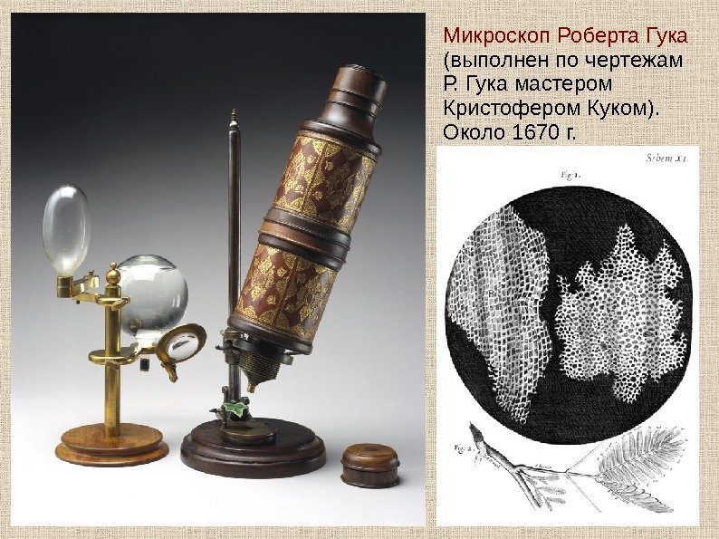  Микроскоп Роберта Гука (выполнен по чертежам Р. Гука мастером Кристофером Куком). 