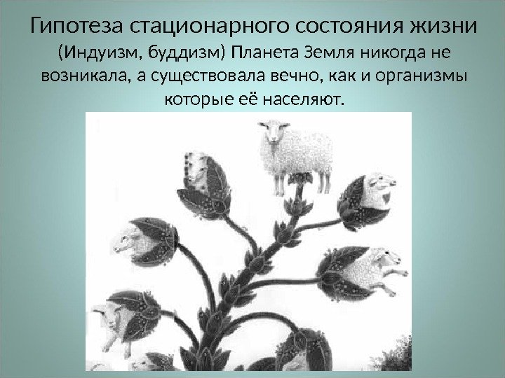 Пример какой гипотезы о возникновении жизни указан на картинке цветок