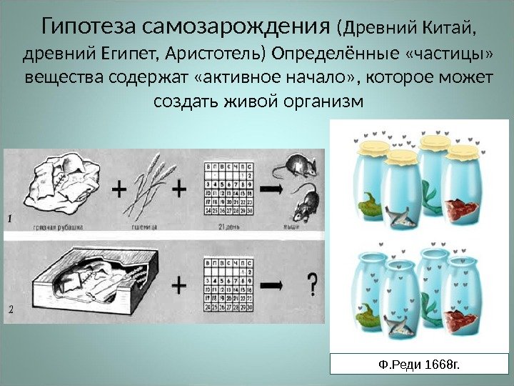 Гипотеза самозарождения (Древний Китай,  древний Египет, Аристотель) Определённые «частицы»  вещества содержат «активное