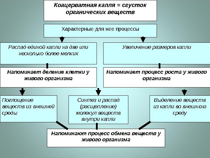 Органические вещества в первичном бульоне могли существовать бесконечно долго на земле из-за