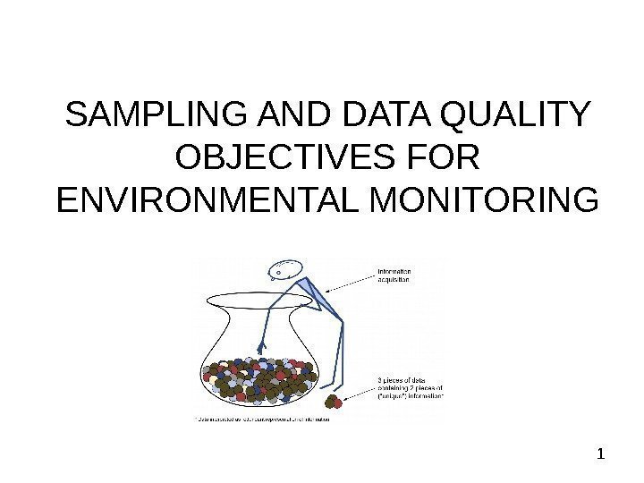  1 SAMPLING AND DATA QUALITY OBJECTIVES FOR ENVIRONMENTAL MONITORING 