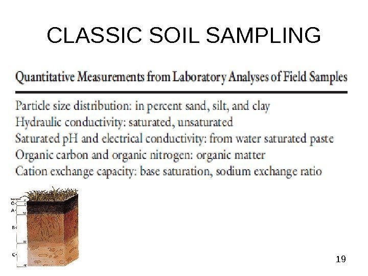  19 CLASSIC SOIL SAMPLING 