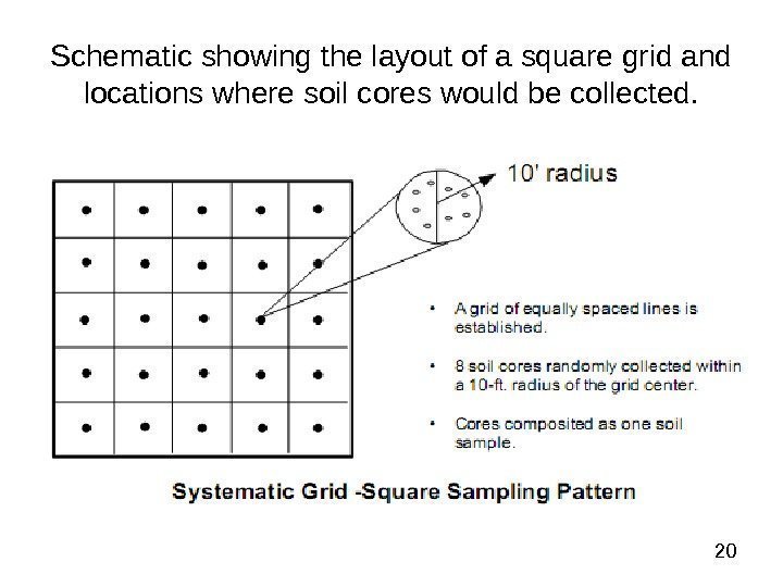  20 Schematic showing the layout of a square grid and locations where soil