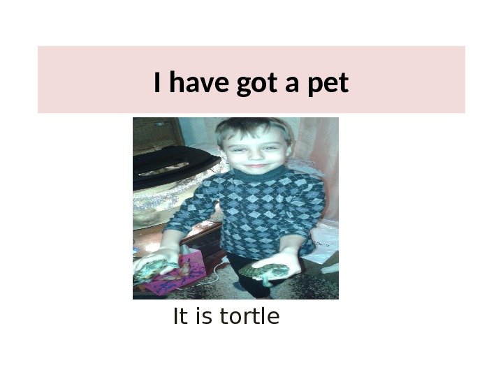  I have got a pet  It is tortle 