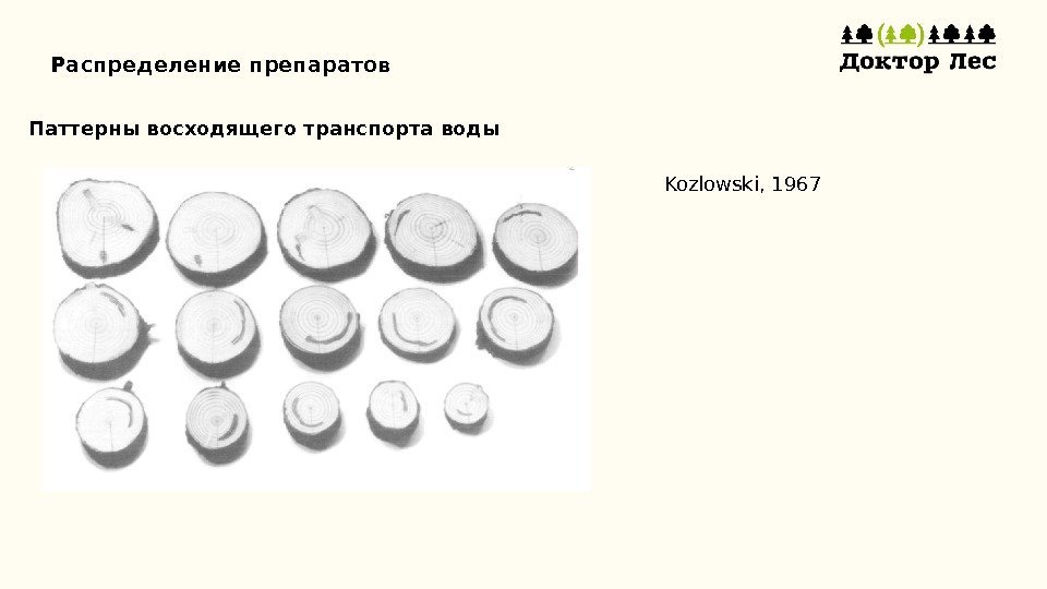 Распределение препаратов Паттерны восходящего транспорта воды Kozlowski, 1967 