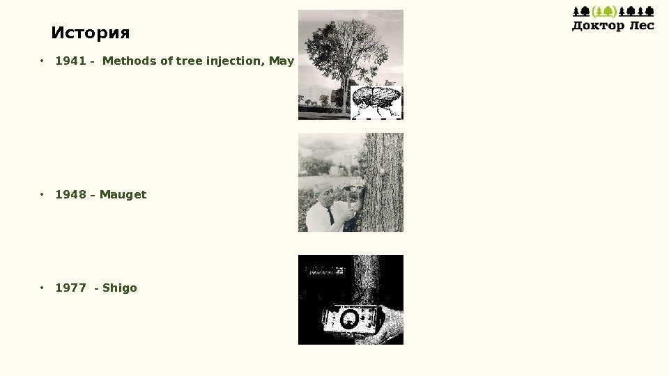 История • 1941 - Methods of tree injection, May • 1948 – Mauget 