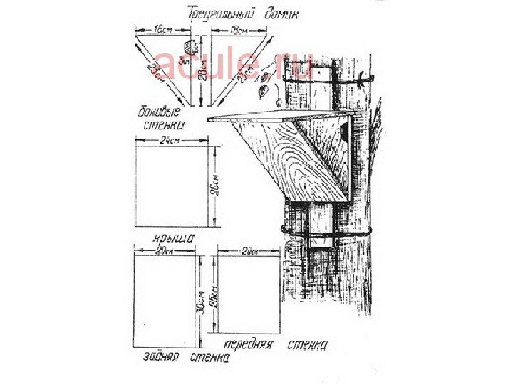 Скворечник для трясогузки чертеж
