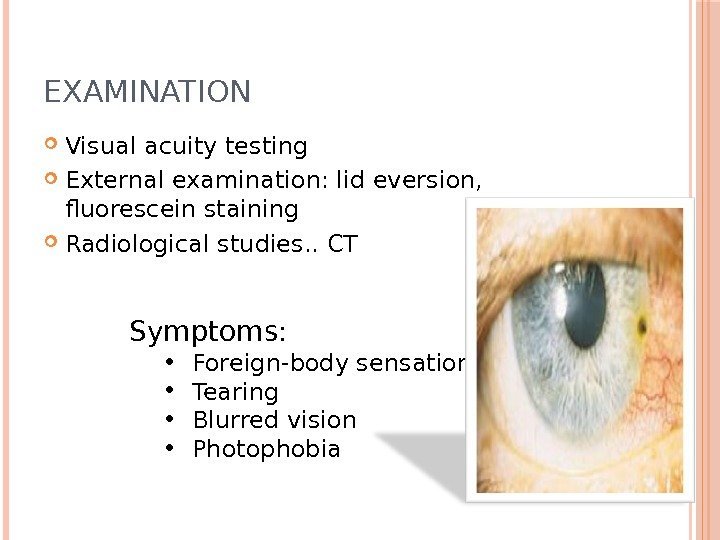 EXAMINATION Visual acuity testing External examination: lid eversion,  fluorescein staining Radiological studies. .