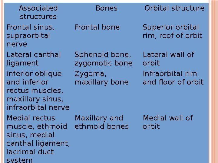 Associated structures Bones Orbital structure Frontal sinus,  supraorbital nerve Frontal bone Superior orbital