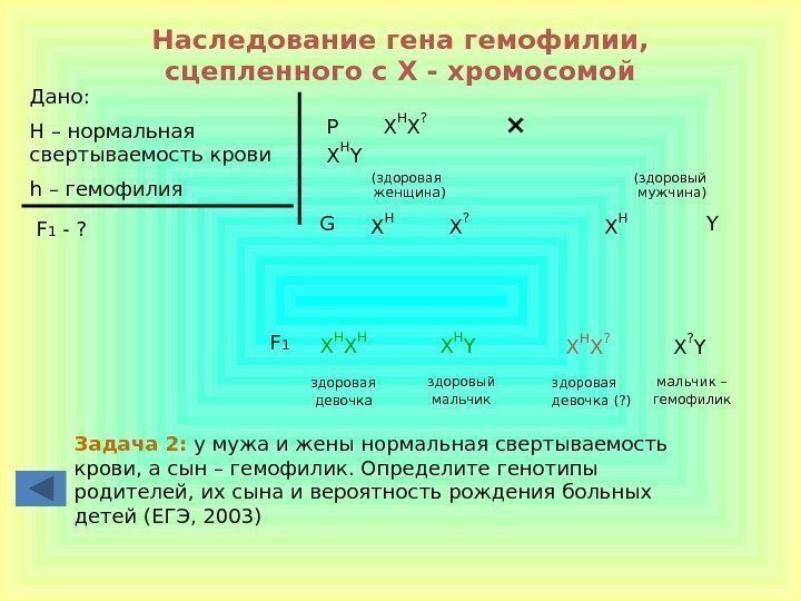 Наследование гена гемофилии,  сцепленного с Х - хромосомой Дано: H – нормальная свертываемость