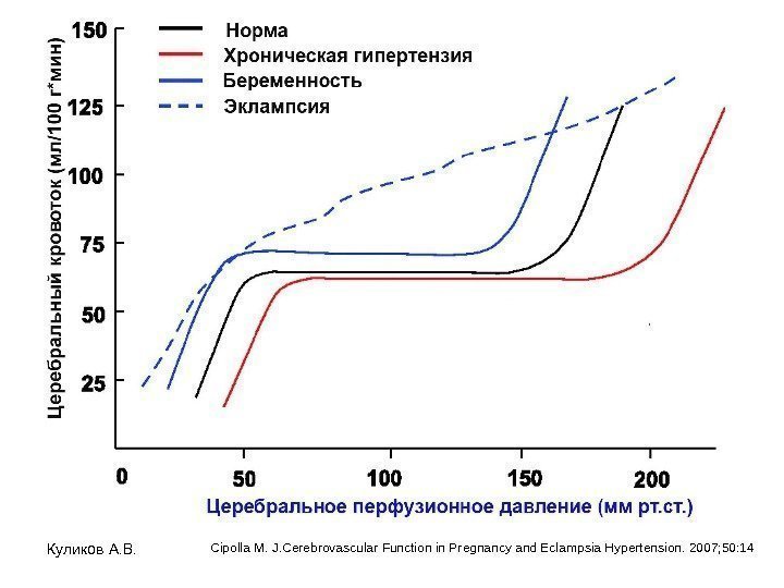 Куликов А. В. Cipolla M. J. Cerebrovascular Function in Pregnancy and Eclampsia Hypertension. 2007;