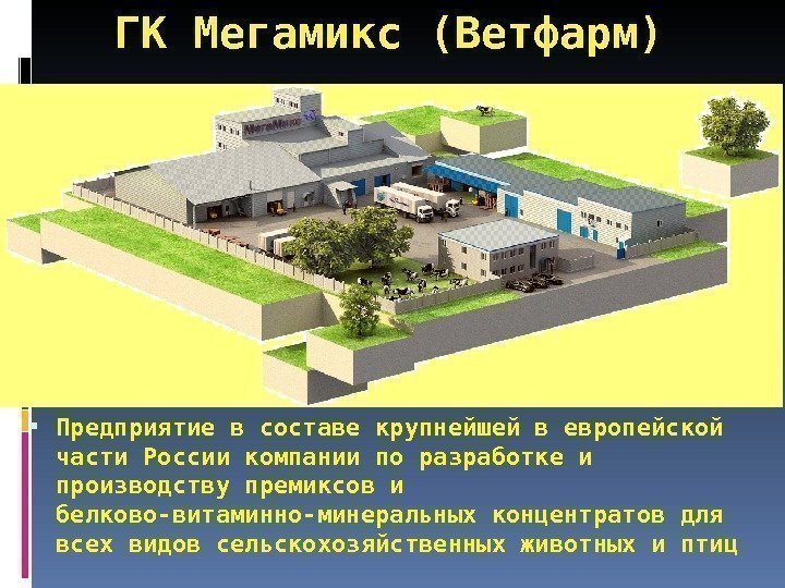 ГК Мегамикс (Ветфарм) Предприятие в составе крупнейшей в европейской части России компании по разработке