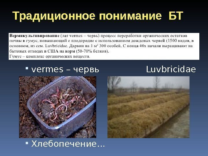 Традиционное понимание БТ vermes – червь   Luvbricidae Хлебопечение… 