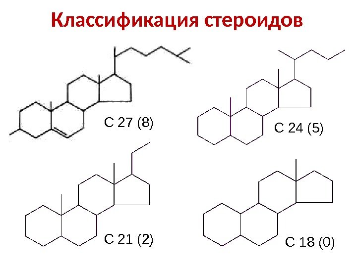 Классификация стероидов С 27 (8) С 24 (5) С 21 (2) С 18 (0)