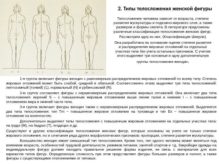2. Типы телосложения женской фигуры 1 -я группа включает фигуры женщин с равномерным распределением