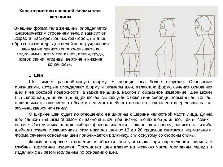 Характеристики внешней формы тела женщины  Внешняя форма тела женщины определяется анатомическим строением тела