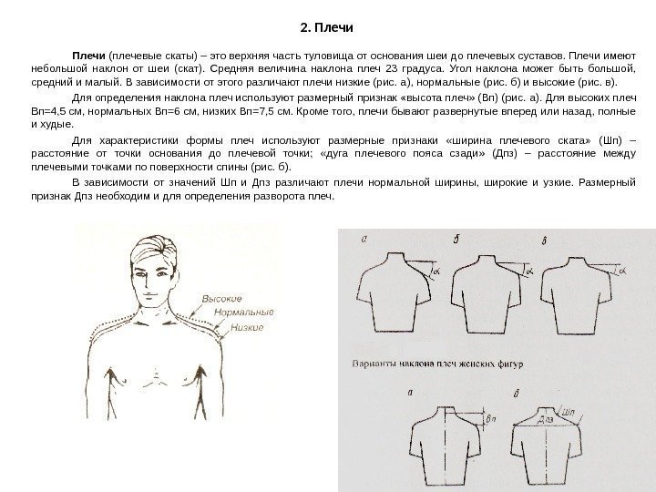Виды плечей. Шейно плечевой угол у нормостеников. Дуга плечевого пояса сзади как измерить. Наклон плеча. Описание плеч криминалистика.
