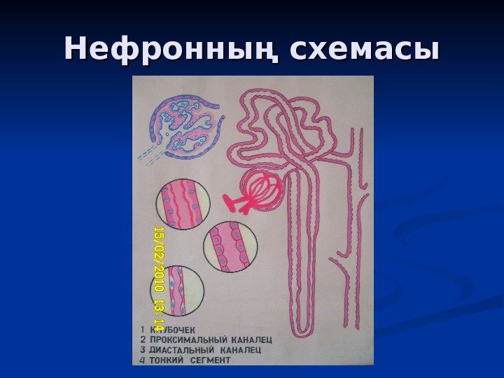 Шэжэрэ агачы схемасы картинки шаблоны