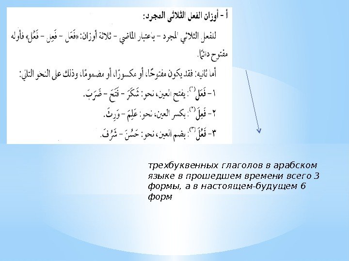 трехбуквенных глаголов в арабском языке в прошедшем времени всего 3 формы, а в настоящем-будущем