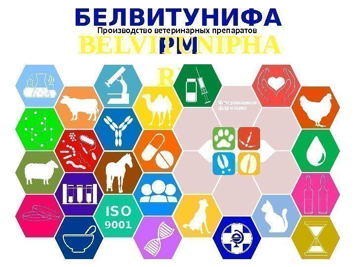 БЕЛВИТУНИФА РМBELVITUNIPHA RMПроизводство ветеринарных препаратов ISO  9001  