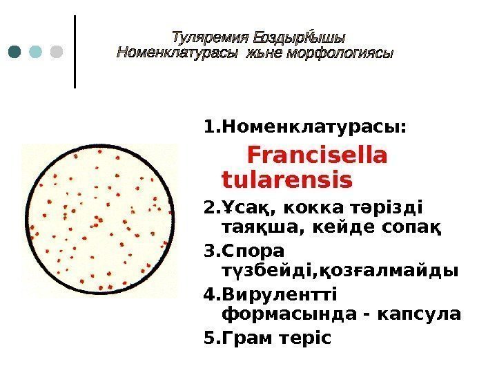 1. Номенклатурасы:   Francisella  tularensis  2. Ұсақ, кокка тәрізді таяқша, кейде