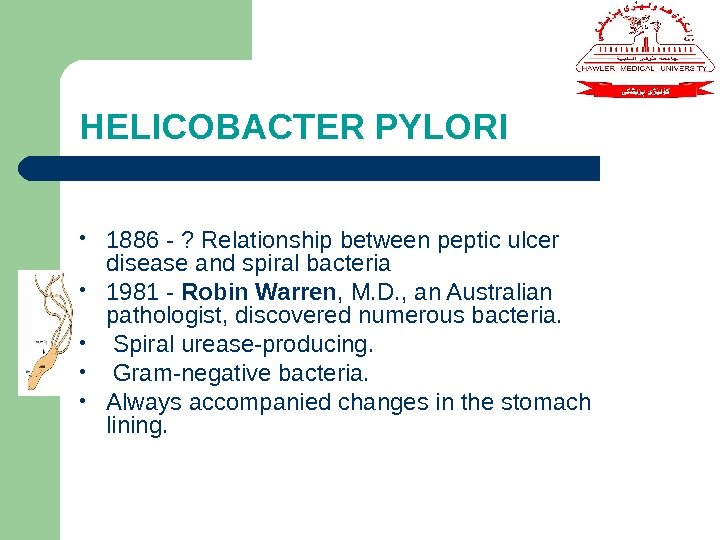 HELICOBACTER PYLORI • 1886 - ? Relationship between peptic ulcer disease and spiral bacteria