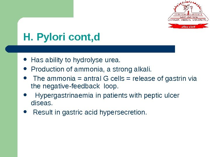 H. Pylori cont, d Has ability to hydrolyse urea.  Production of ammonia, a