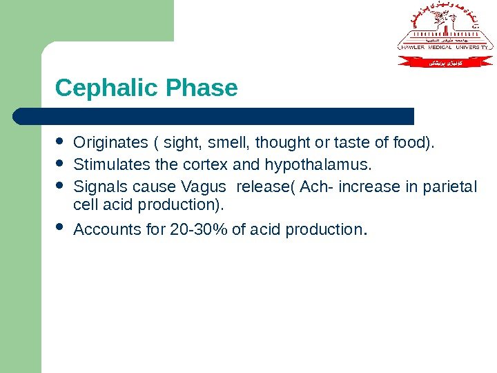 Cephalic Phase Originates ( sight, smell, thought or taste of food).  Stimulates the
