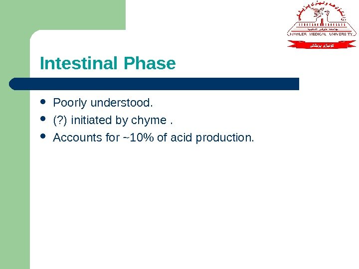 Intestinal Phase Poorly understood.  (? ) initiated by chyme.  Accounts for ~10